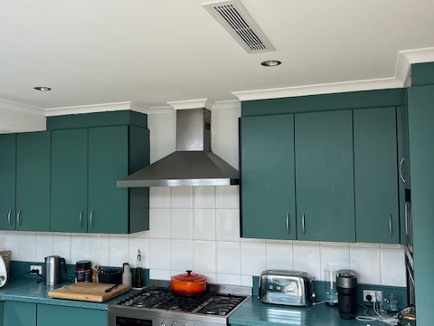 Rectangular air conditioning vent in the ceiling above a kitchen with green cabinetry.